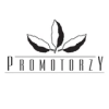 Praca Promotorzy Trading Sp. z o.o. sp.k.