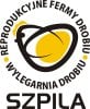 Praca PRZEDSIĘBIORSTWO DROBIARSKIE TOMASZ SZPILA