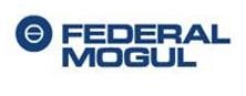 Federal-Mogul Gorzyce Sp. z o.o. 