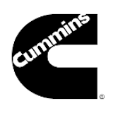 Cummins Ltd. Sp. z o.o. Oddział w Polsce