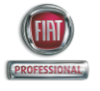 Holding 1 - Grupa PGD – Fiat Euromobil