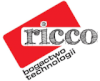 Praca RICCO INTERNATIONAL TRADE & CONSULTANCY