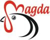Praca P.W. MAGDA A. GĘBA, Z. POŁEDNIK Sp. j.