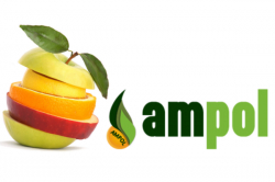 Ampol Import Export Owoce i Warzywa