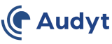 Audyt