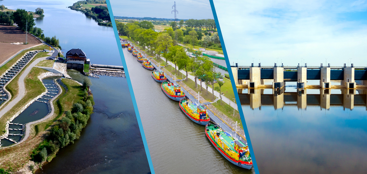 Grafika górna Grafika górna